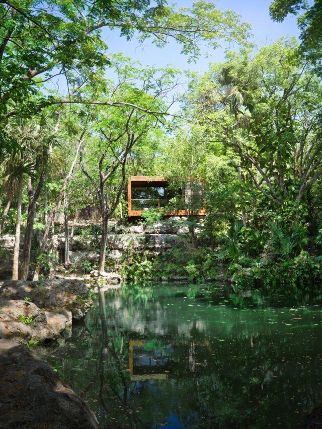 Cenote do Chablé Yucatán com águas claras cercadas por rochas e vegetação.