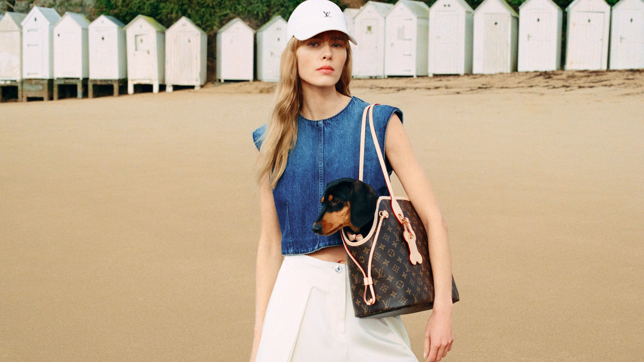 Louis Vuitton aposta no mercado pet e lança versão da Neverfull